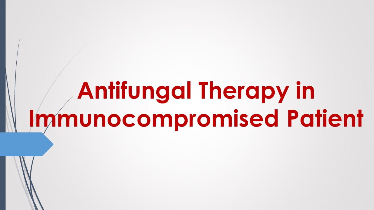 Antifungal Therapy in Patients