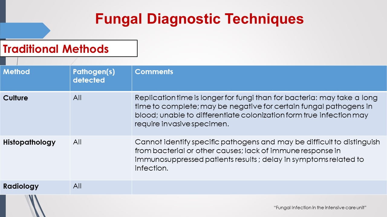 Antifungal Therapy in Patients