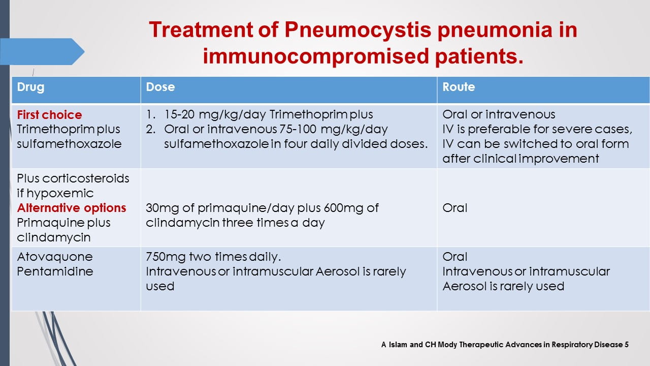 Antifungal Therapy in Patients