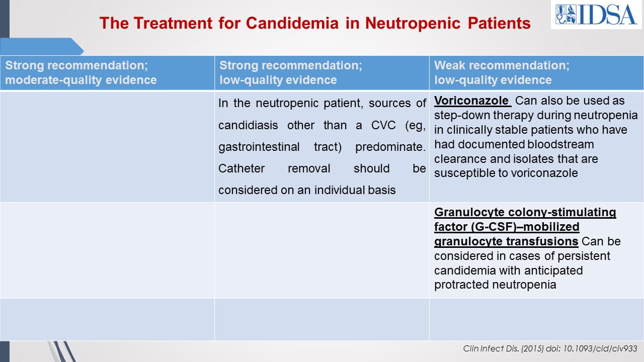 Antifungal Therapy in Patients