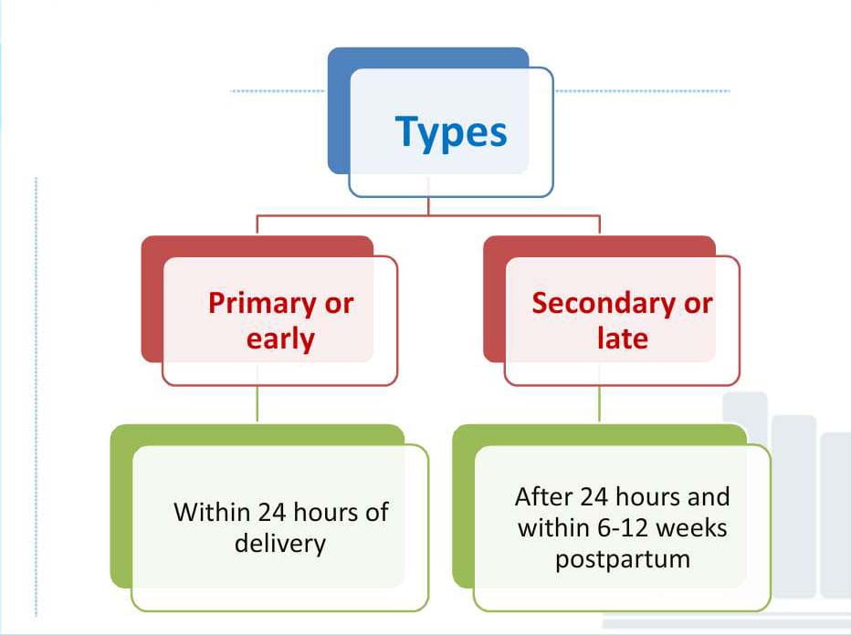 image NP