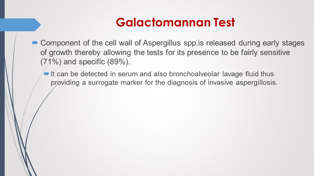 Antifungal Therapy in Patients