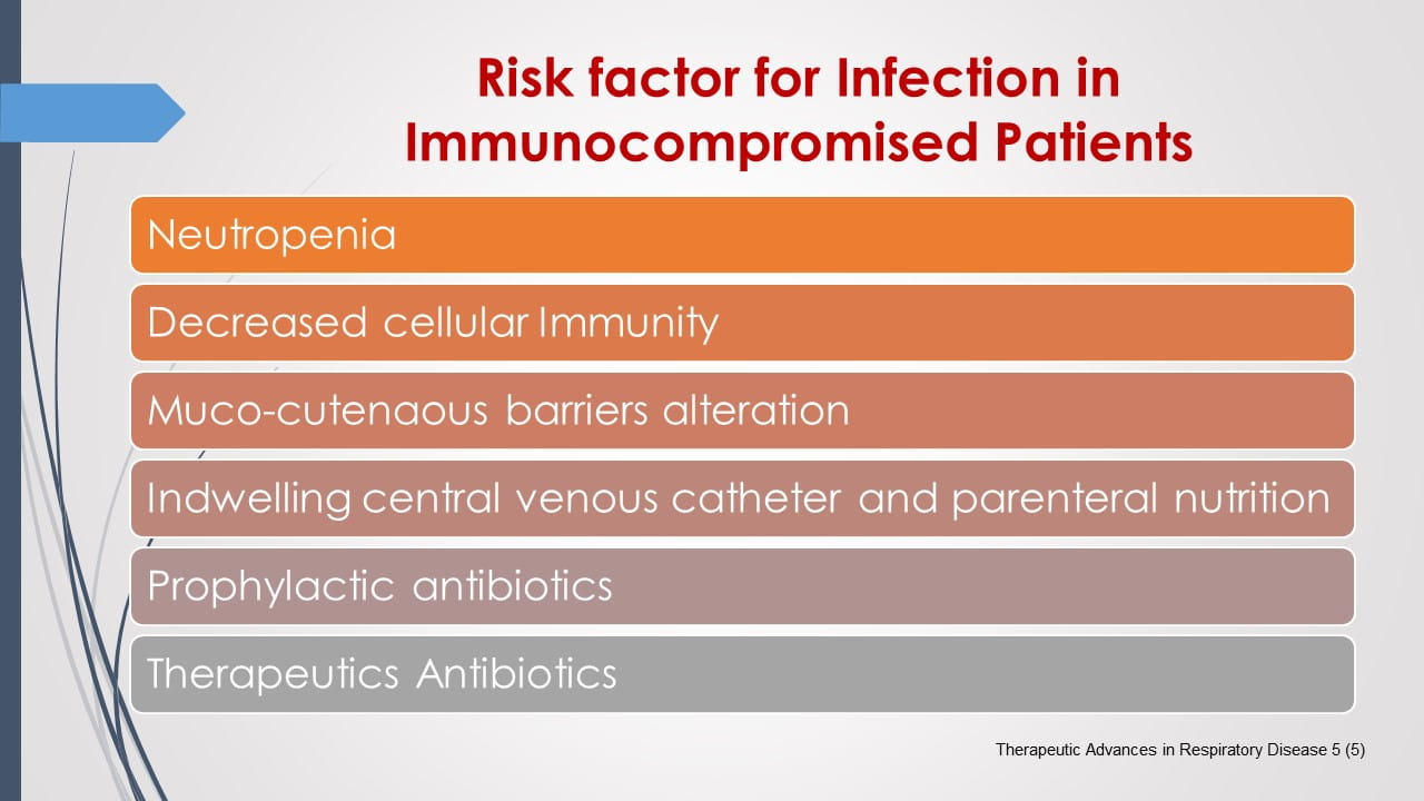 Antifungal Therapy in Patients