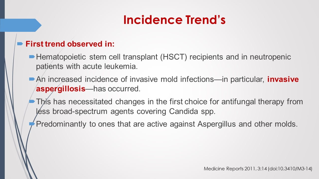 Antifungal Therapy in Patients