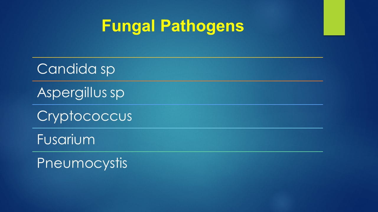 Current Concepts in Invasive Fungal Infection & Treatment in Renal