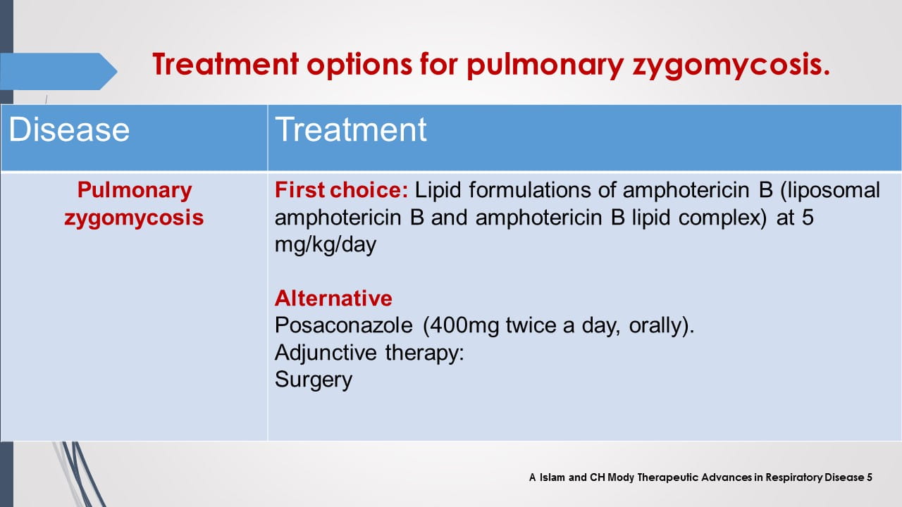 Antifungal Therapy in Patients