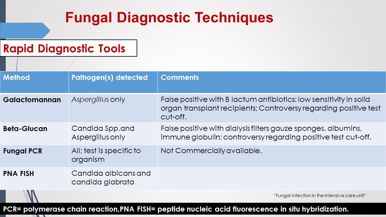 Antifungal Therapy in Patients