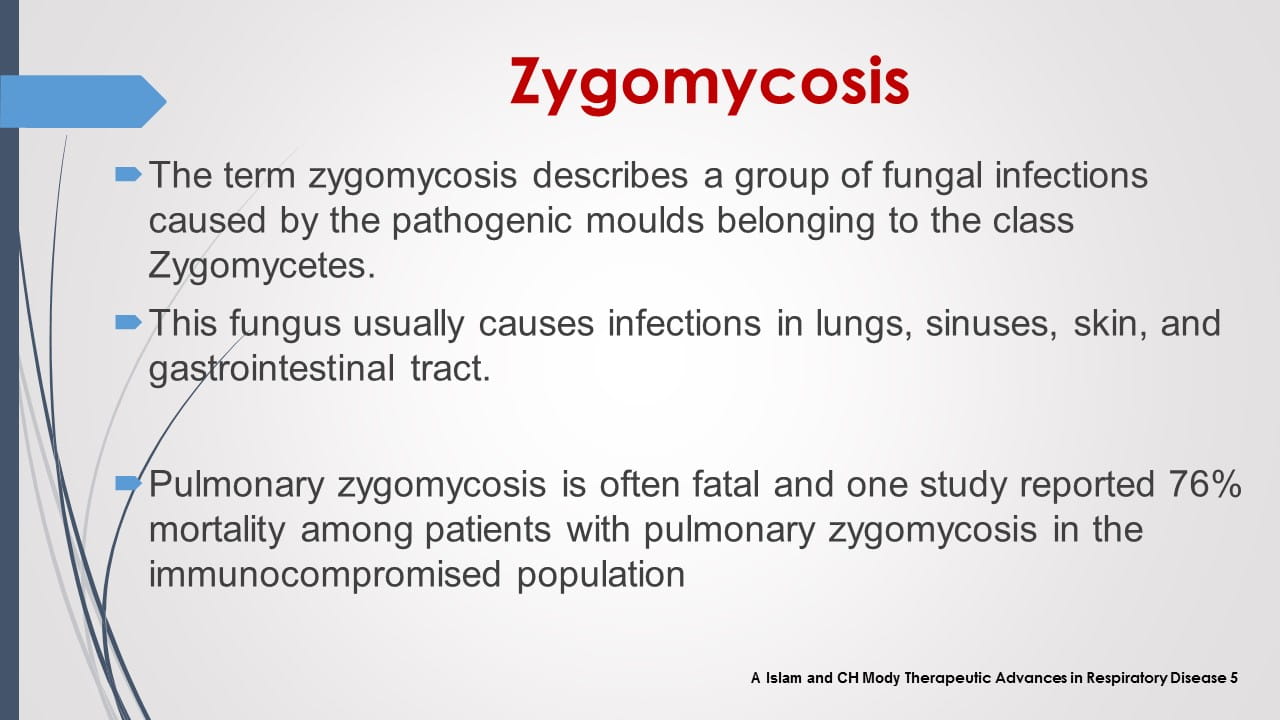 Antifungal Therapy in Patients
