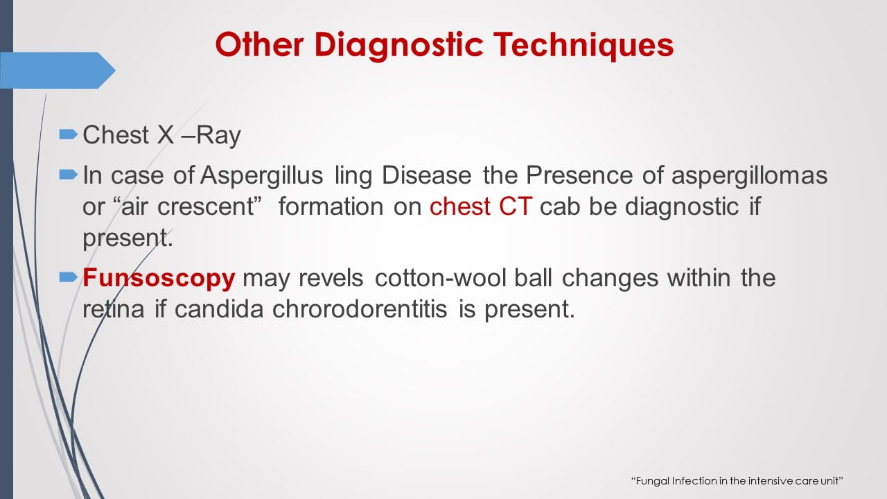 Antifungal Therapy in Patients