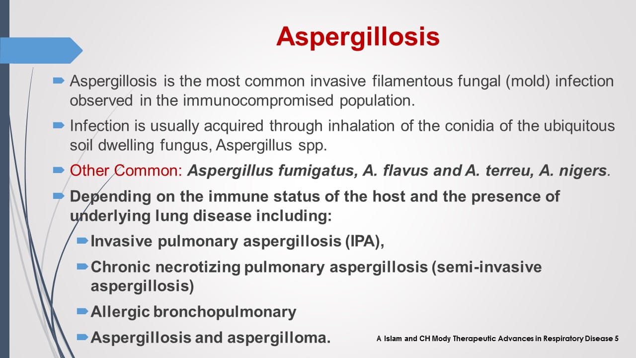 Antifungal Therapy in Patients