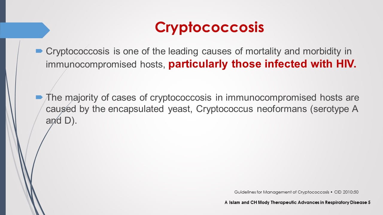 Antifungal Therapy in Patients