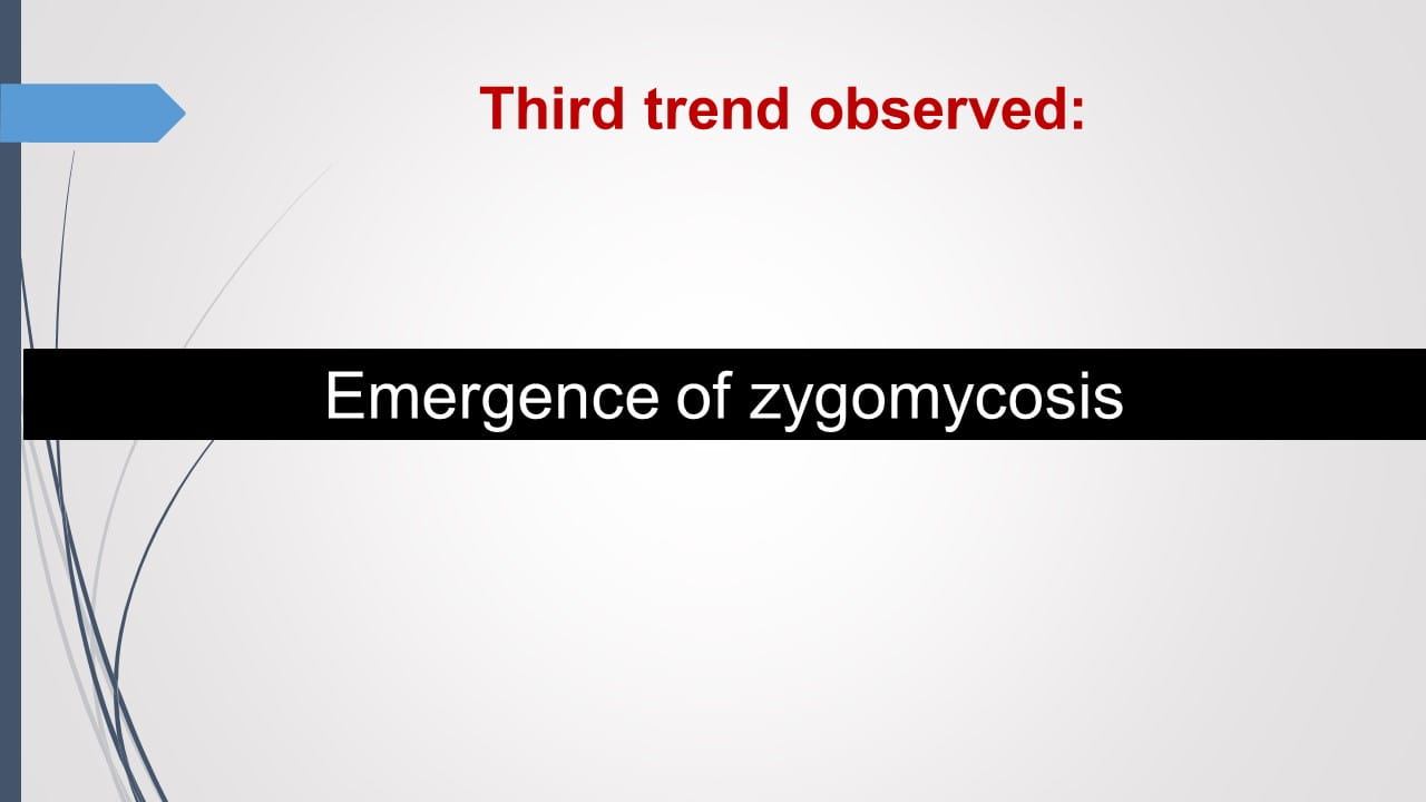 Antifungal Therapy in Patients