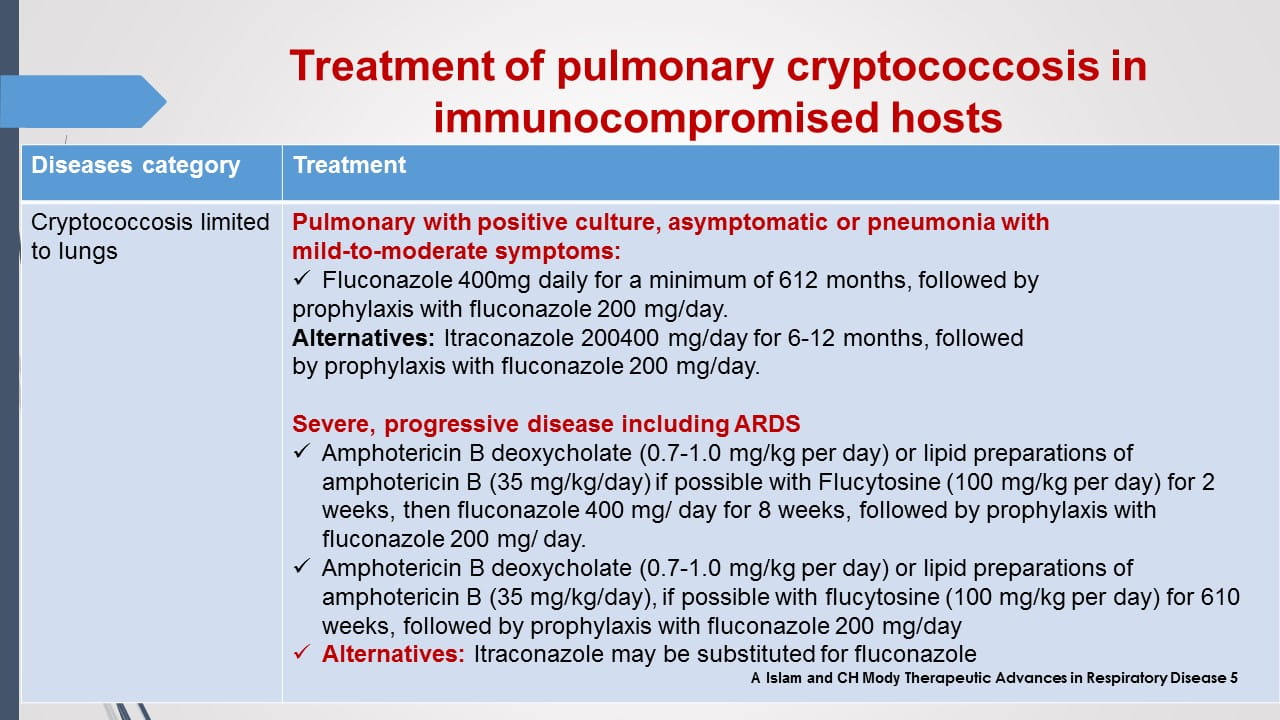 Antifungal Therapy in Patients
