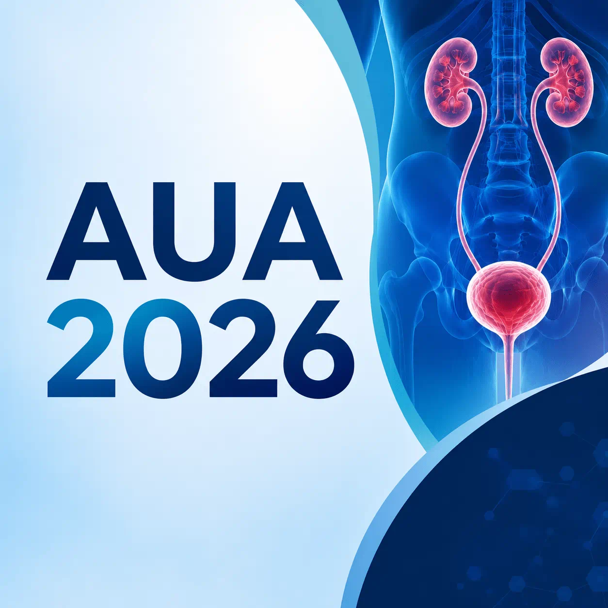 AUA 2026