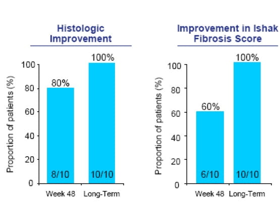Fig20220role20of20enetcavir_0