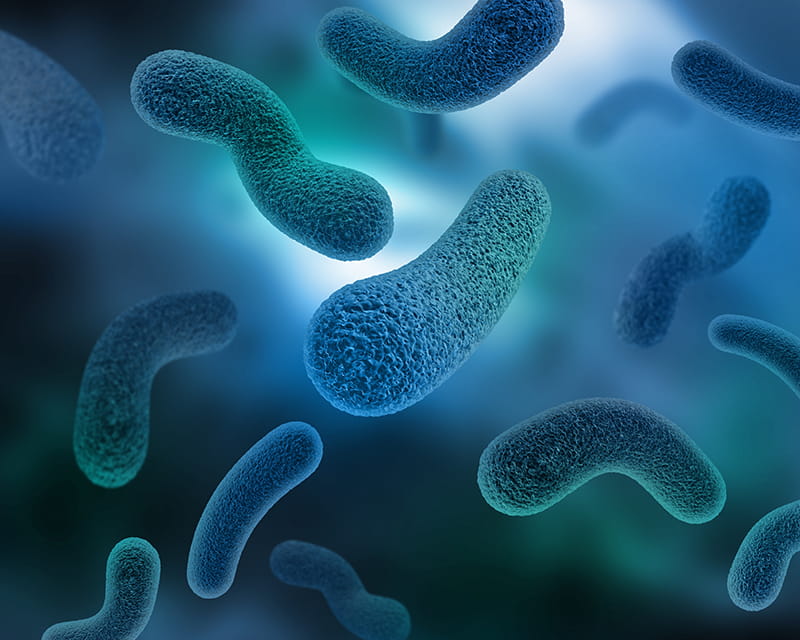 Infectious_Disease