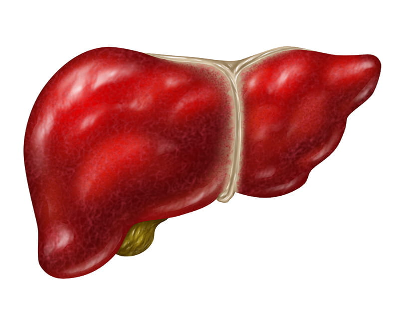 CiplaMedLogo