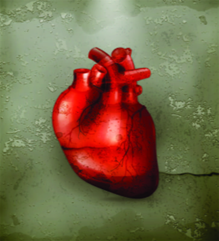 CARDIOLOGY