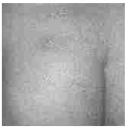 CPM-0HAOP0459-6