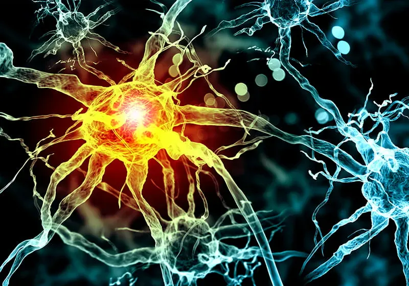 Neuropathy_203E08863800pix