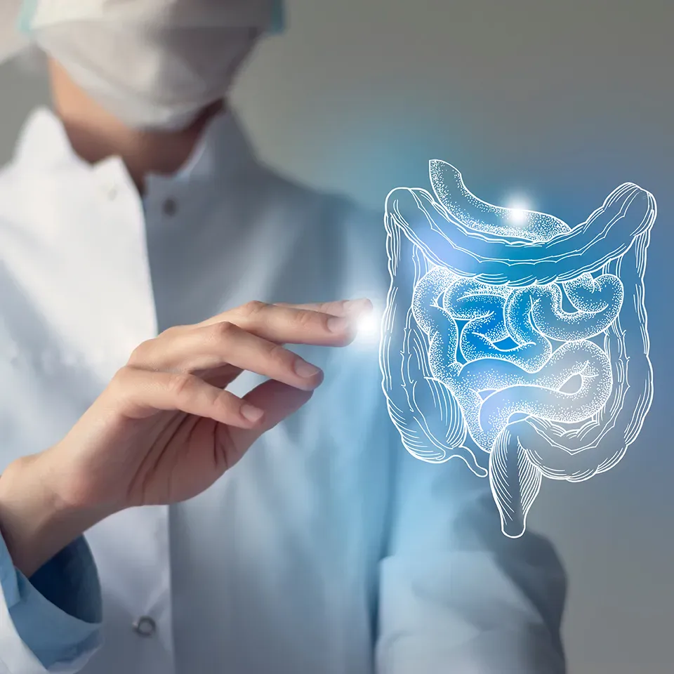GI tract