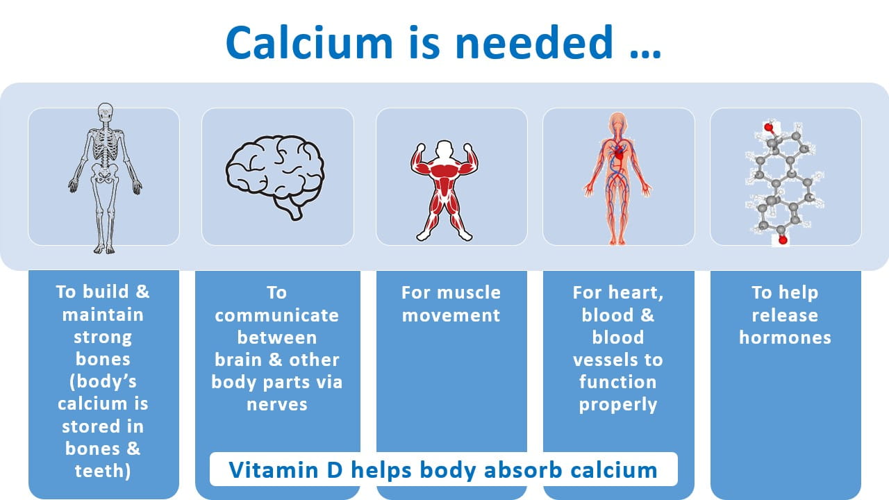 Why do we need calcium during pregnancy 