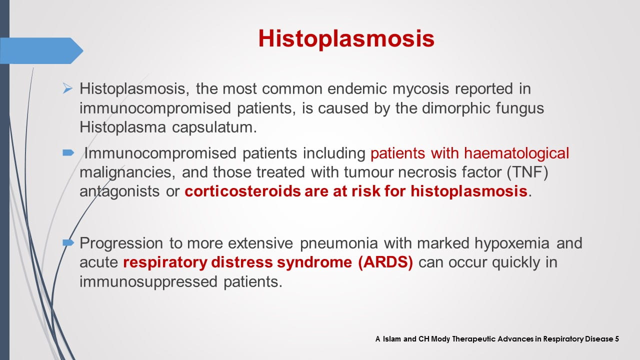 Antifungal Therapy in Patients